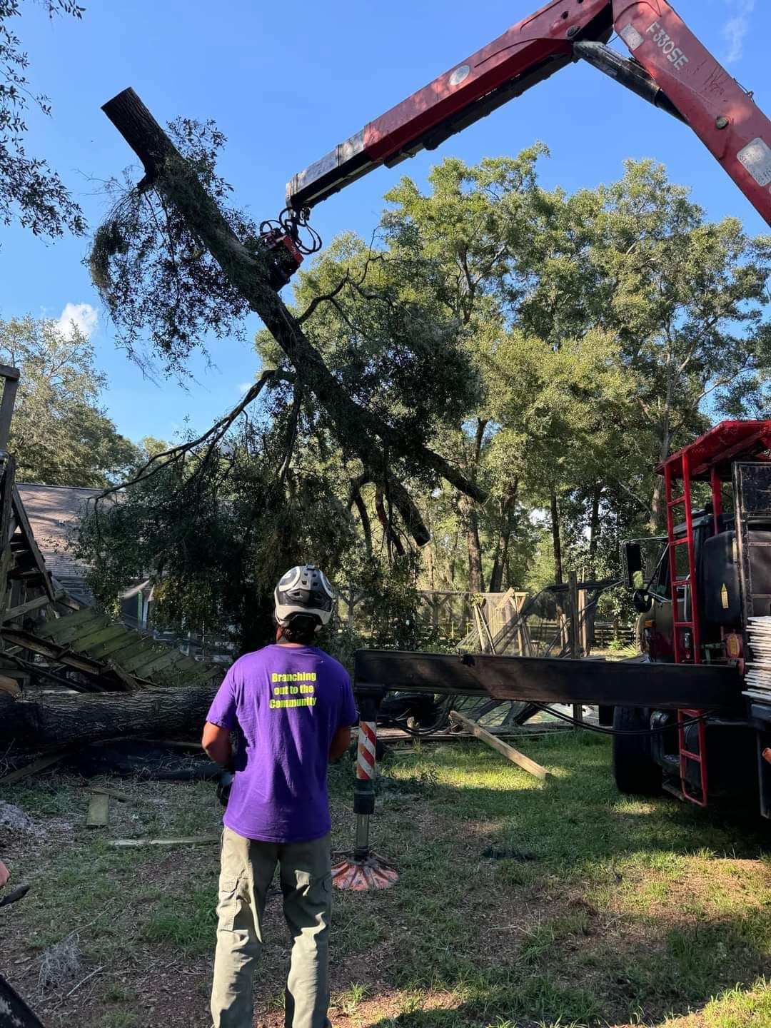 Tree Removal