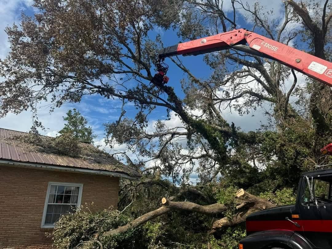 Hazardous Tree